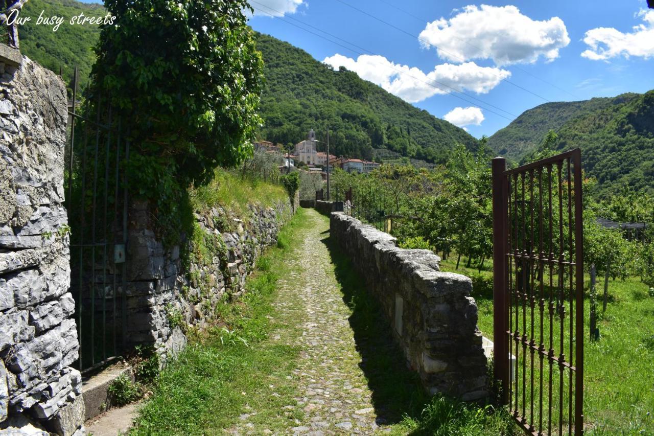 Agriturismo Conca Sandra - Farm Stay On Lake Como Perledo Exterior photo
