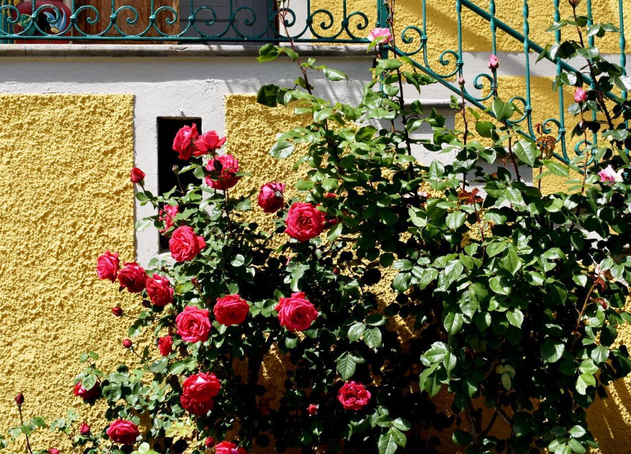 Agriturismo Conca Sandra - Farm Stay On Lake Como Perledo Exterior photo
