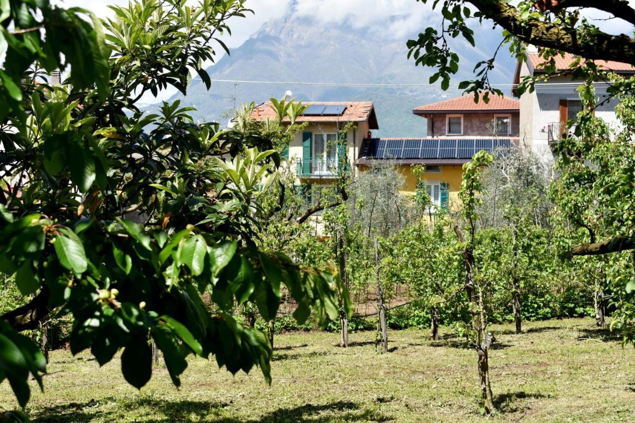 Agriturismo Conca Sandra - Farm Stay On Lake Como Perledo Exterior photo